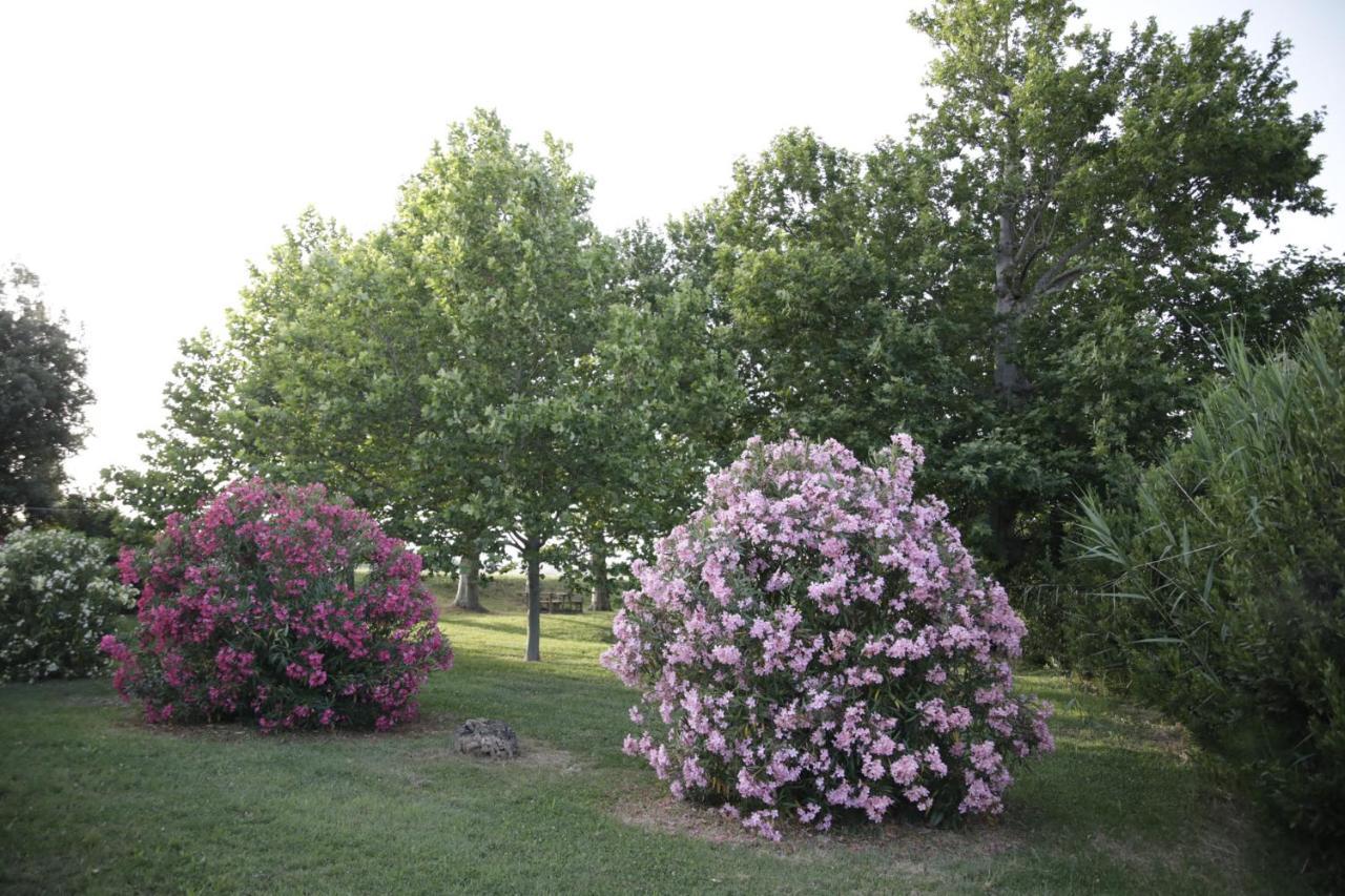 Agriturismo La Fonte Di San Girio Guest House Potenza Picena Exterior photo